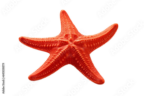 Sea Star Isolated on Transparent Background. Generative AI.