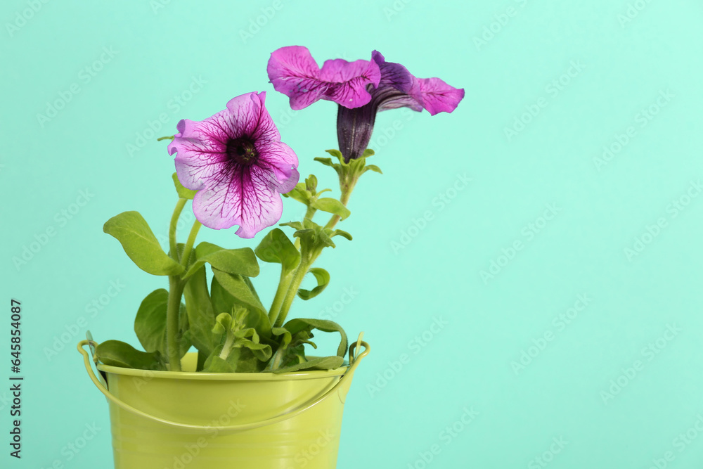 Naklejka premium Beautiful petunia flowers in green pot against turquoise background, closeup. Space for text