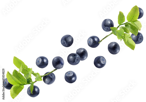 Many fresh ripe blueberries and green leaves flying on white background