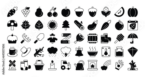 collection of autumn icons. glyph icon