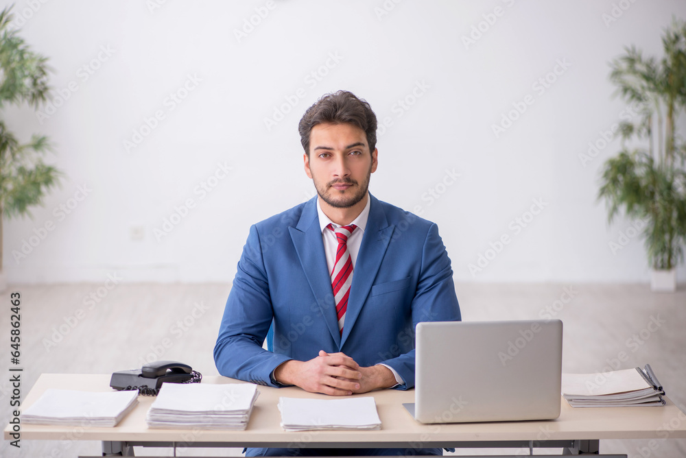 Young male employee working in the office Young male employee working in the office