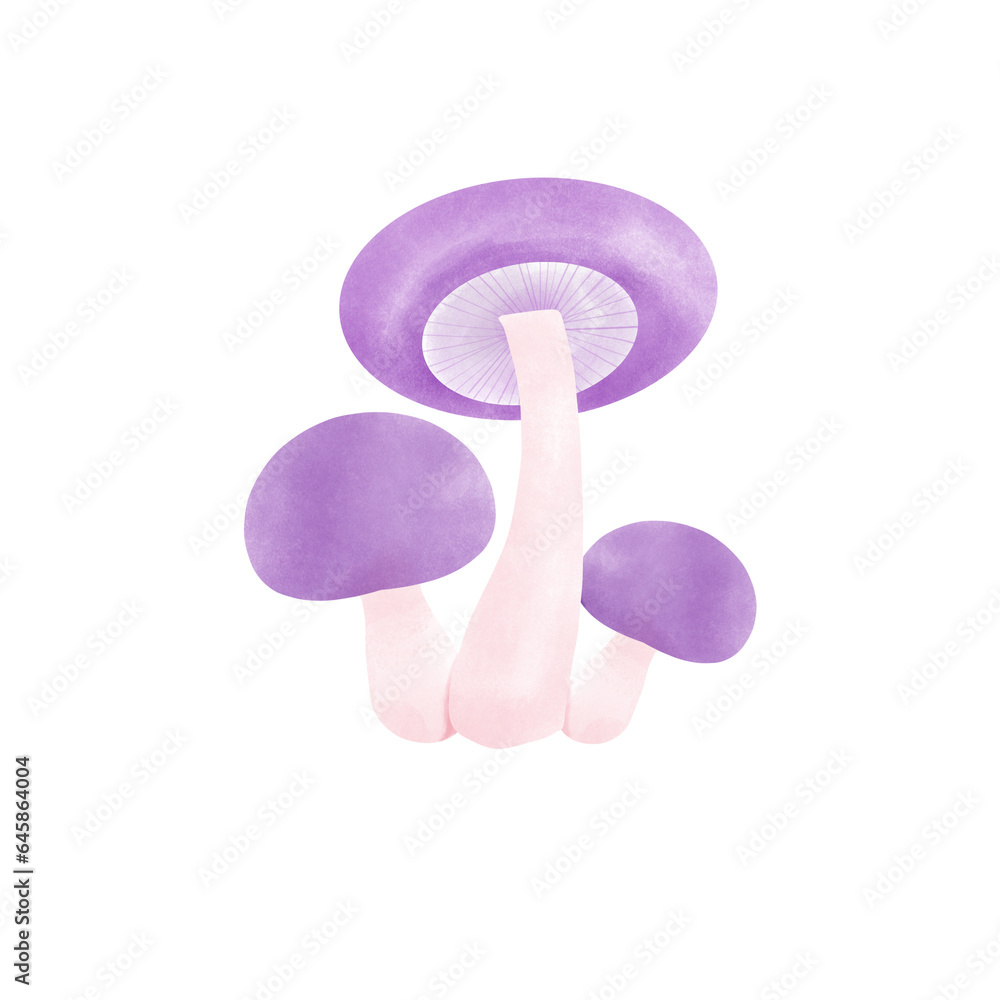 Mushroom Mushroom