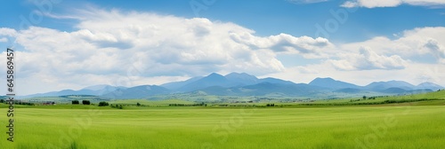 Panoramic natural landscape with green grass field  blue sky with clouds and mountains in background. Panorama summer spring meadow.