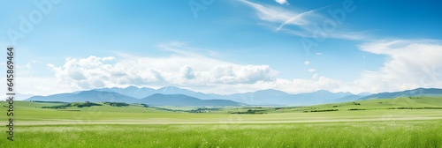 Panoramic natural landscape with green grass field  blue sky with clouds and and mountains in background. Panorama summer spring meadow.