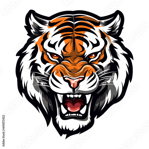 Tiger head vector illustration