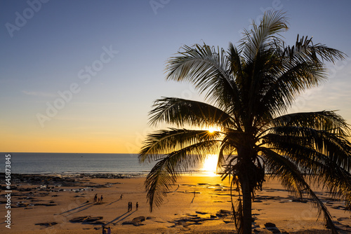 Sun star through a Palm tree at sunset  Broome  Western Australia