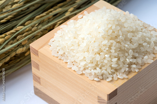 収穫した米のイメージ。米・稲穂。