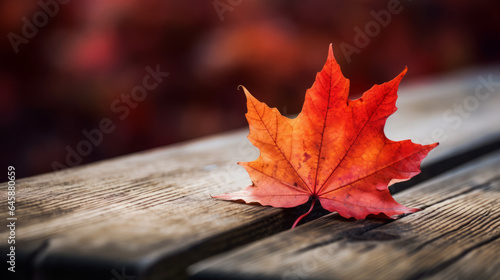 Lonely Autumn Leaf in Radiant Red  