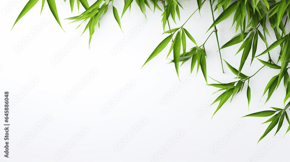 bamboo leaves on white background with copy space. Generative Ai bamboo leaves on white background with copy space. Generative Ai
