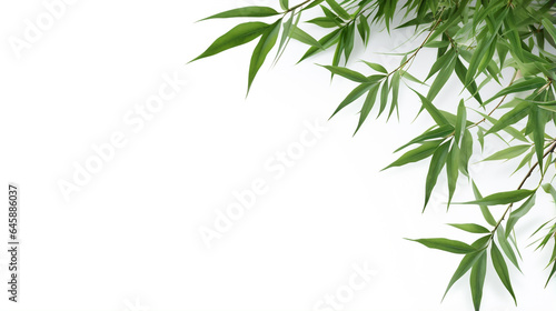 bamboo leaves isolated on white. Generative Ai