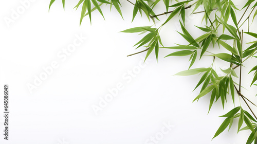 frame of bamboo leaves on white background top view. Generative Ai