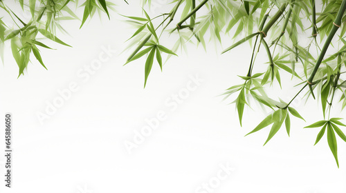 bamboo frame frame made of bamboo leaves on white background with copy space for your design. Generative Ai