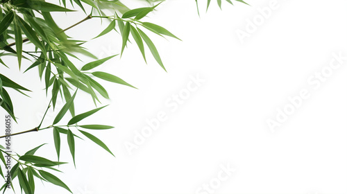 bamboo leaves isolated. Generative Ai