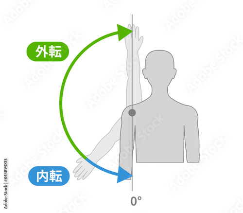 肩関節の動作と運動方向