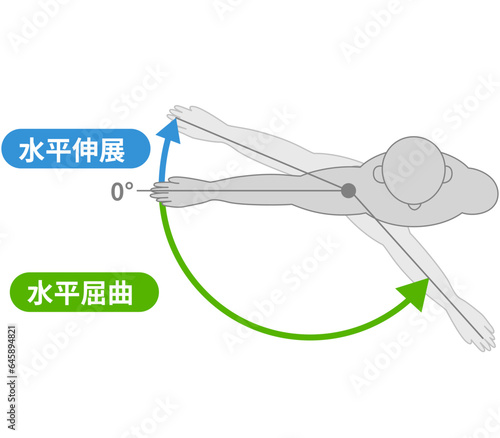 肩関節の動作と運動方向