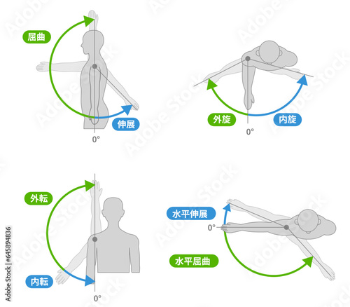 肩関節の動作と運動方向