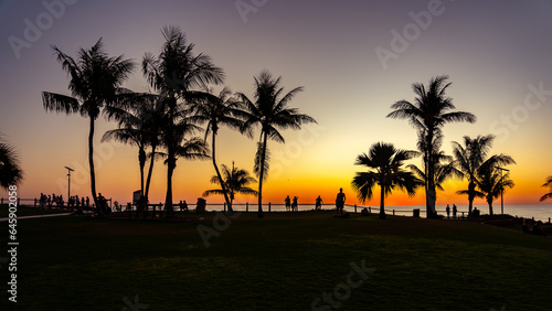 Silhouette of palm trees at sunset at Cable beach in Broome, Western Australia