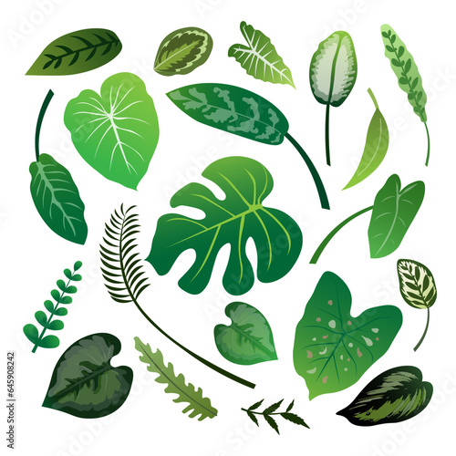 Vector nature foliage plants for background and landing page design set bundle