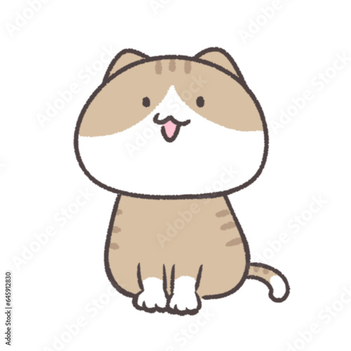 猫