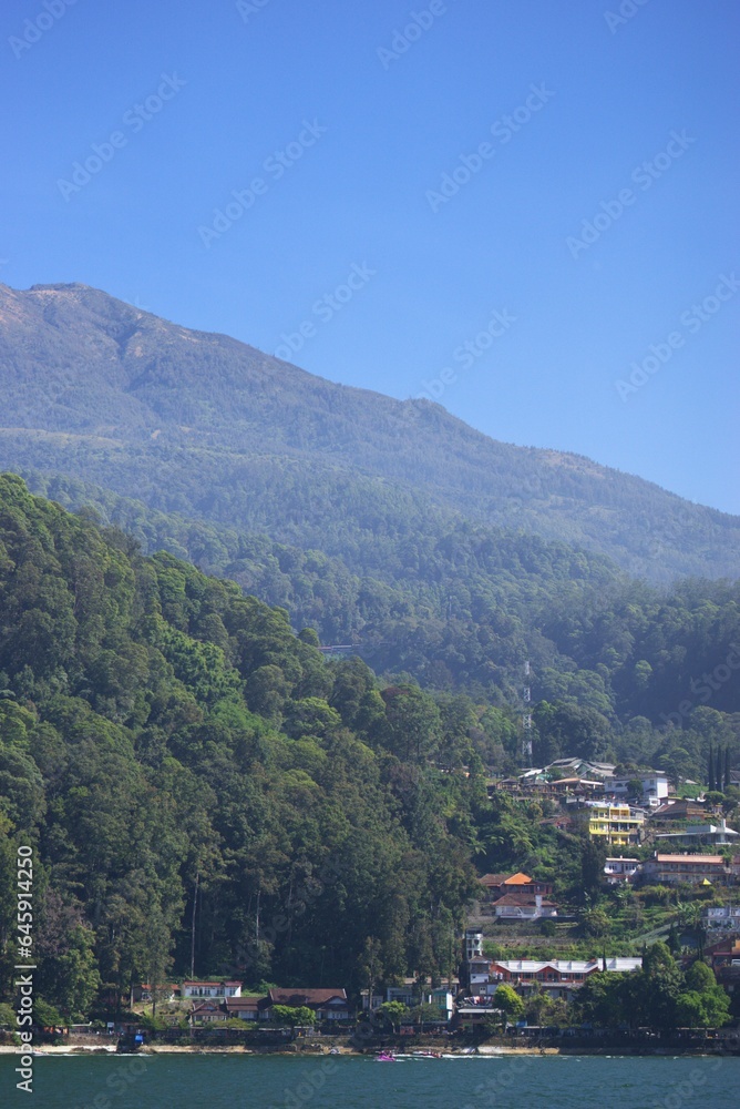A view of forest in the mountain, beautiful natural scenery