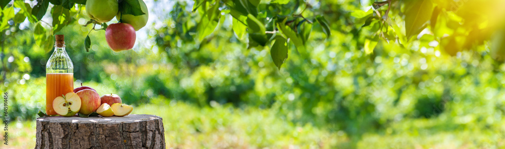 Apple cider vinegar in the garden. Selective focus. Apple cider vinegar in the garden. Selective focus.