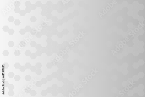 Abstract background with white and grey color. Hexagonal shape in back spread. business template and banner.