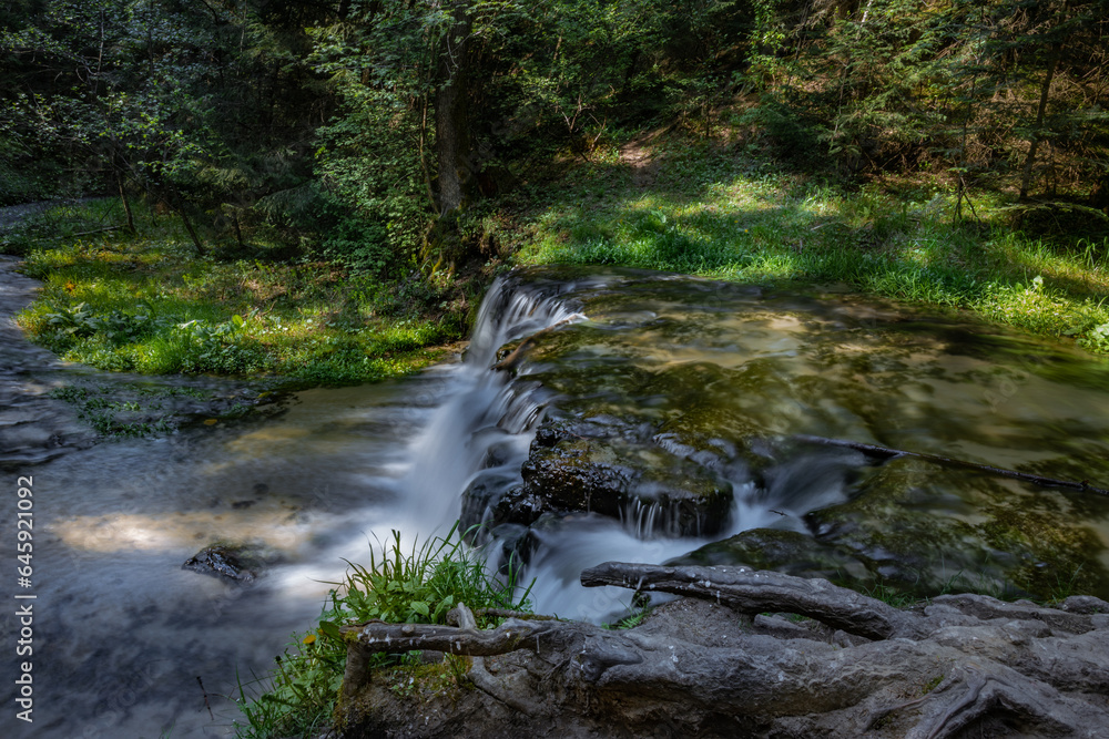 Nad Tanwia Nature Reserve, The of the Tanew River, Sopot River