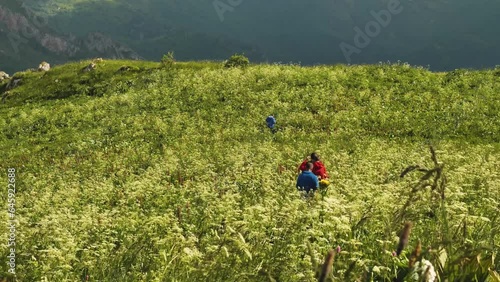 Male hikers in the mountains walking through tall grass. Front view. The wind is rippling the grass. Beautiful epic video of men in the grass. Summer hiking in the mountains photo