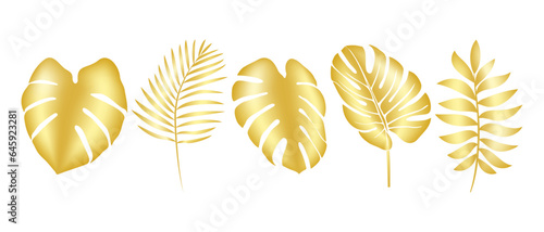 Vector illustration of lush tropical palm leaves in gold. Golden tropical leaf. For packaging cosmetics, perfumes, postcards, invitation to the wedding, covers, tourism, patch printing, home decor.