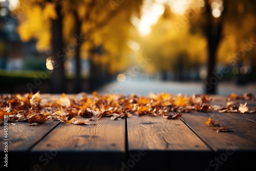Wooden boards on the background of a blurred autumn park.