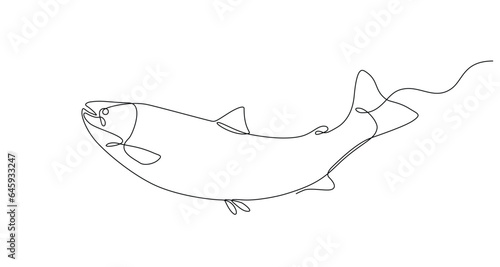 fresh salmon fish in continuous line art drawing style. Single line sketch of salmon fish in doodle style on white background. Vector illustration