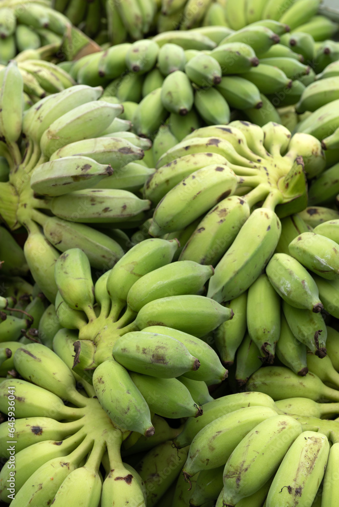 Group of organic green raw Ducasse Banana