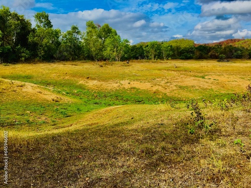 field and blue sky