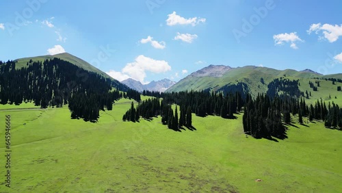 Aerial video of grasslands, snow-capped mountains and forests in Nalati, Xinjiang photo