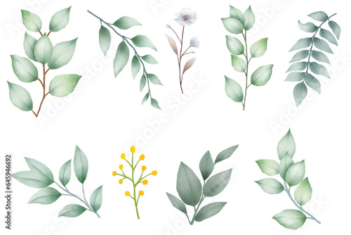 Set of leaves watercolor elements 