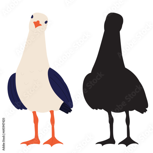 seagull on white background vector