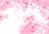 桜のキレイめ背景素材
