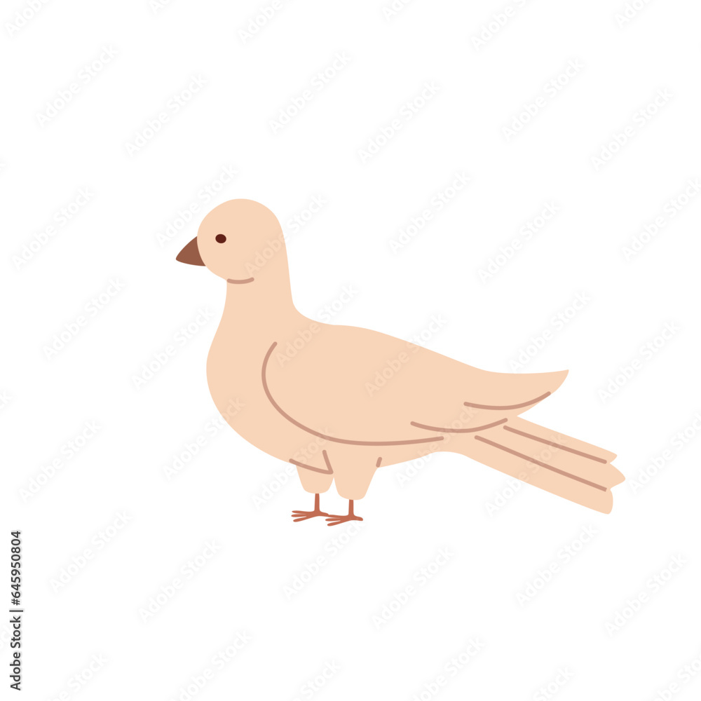Standing dove. Hand drawn vector illustration of bird in pastel colors. Standing dove. Hand drawn vector illustration of bird in pastel colors.