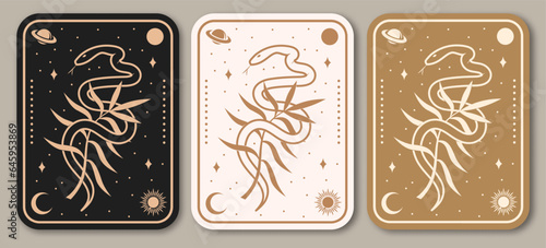 Esoteric symbols. Vector. Thin line geometric badge. Outline icon for alchemy or sacred geometry. Mystic and magic design with snake and wildflower
