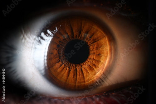 Human brown eye supermacro closeup background. Color contact lens concept