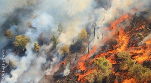 fire in the forest, fire scene in forest, power fire with smoke in forest © Gegham