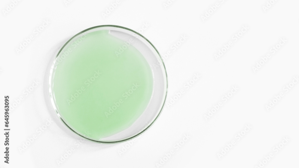 Green gel in a Petri dish. Natural cosmetic. green laboratory Green gel in a Petri dish. Natural cosmetic. green laboratory