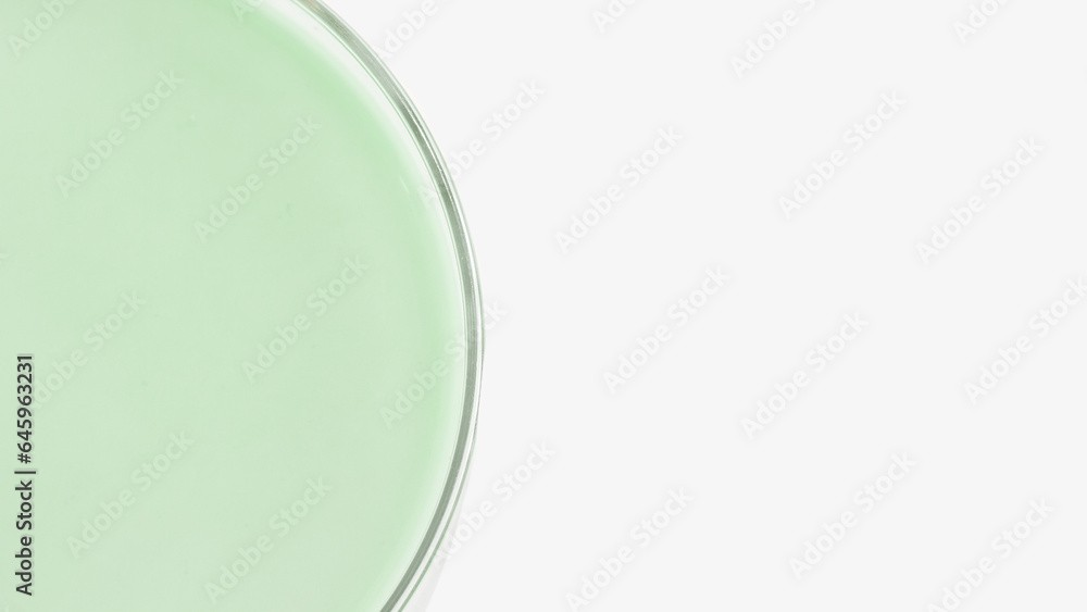 Green gel in a Petri dish. Natural cosmetic. green laboratory Green gel in a Petri dish. Natural cosmetic. green laboratory