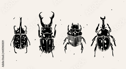 Set of various beetles, bugs or insects. Hand drawn modern Vector illustration. Vintage, Engraving style. Isolated design elements. Print, logo, poster templates, tattoo idea © Dariia