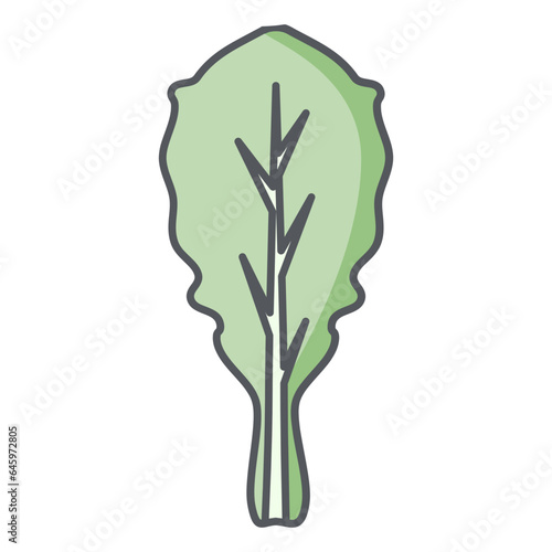 Lettuce Healthy Vegetable Vegetarian Ingredients