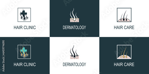 hair care logo design collection with modern  and creative concept  premium vector