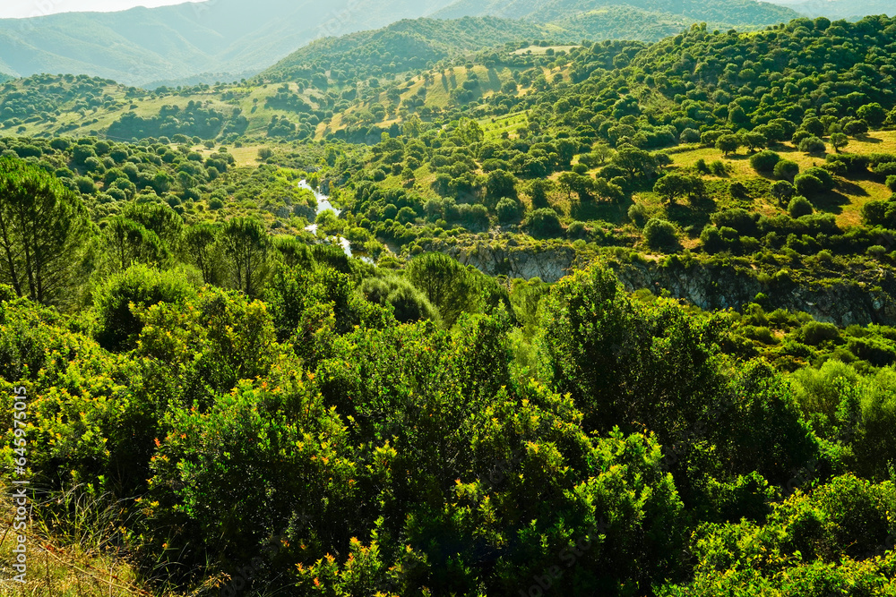 Naklejka premium Panorama tipico del Supramonte sardo. Provincia di Nuoro, Sardegna. Italy