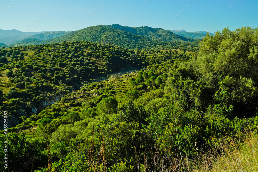 Panorama tipico del Supramonte sardo. Provincia di Nuoro, Sardegna. Italy