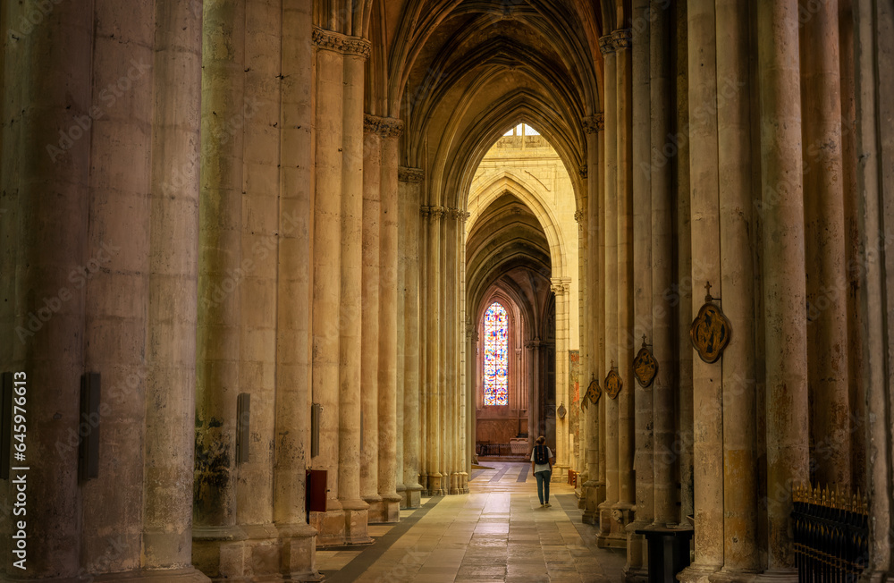 Wide view of the religious Saint Gatien Cathedral in Tours city, with tall columns carved in medieval style in France