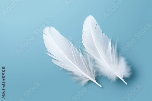 Blue pattern white wing background feathers soft bird fluffy nature animal